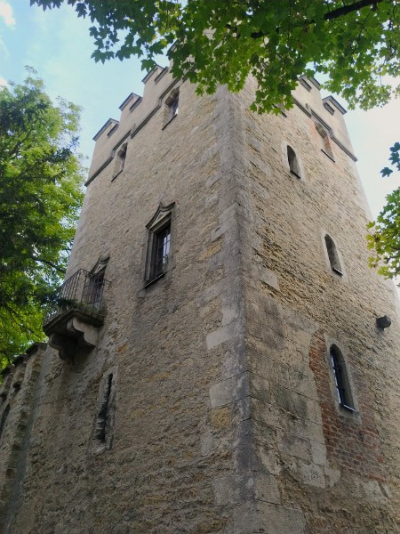 IMG_20220716_145359-2