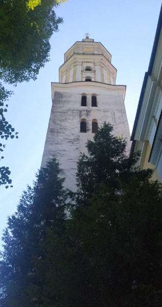 IMG_20220720_103650-2