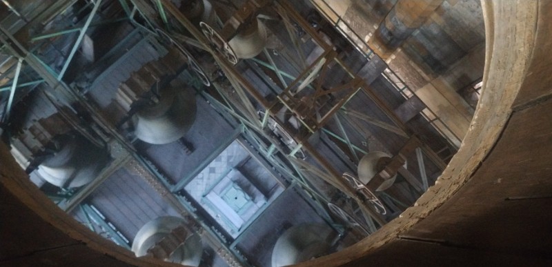 IMG_20220720_130812-2