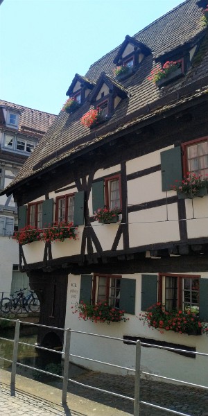 IMG_20220720_141746-2