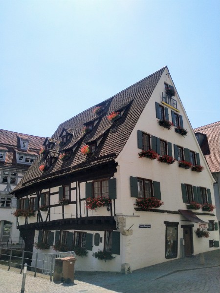 IMG_20220720_141833-2