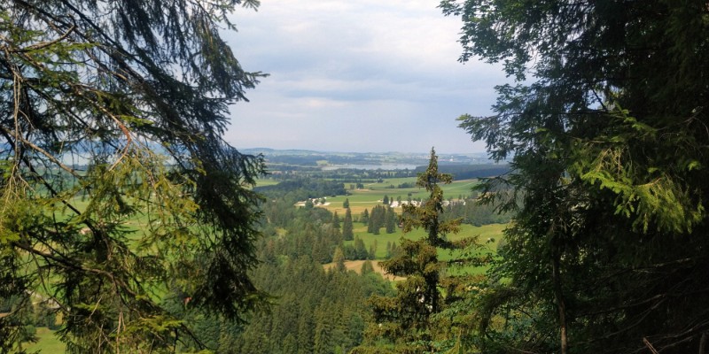 IMG_20220723_144103-2