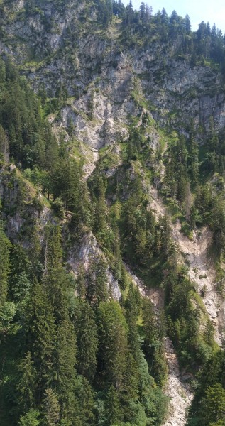 IMG_20220723_144717-2