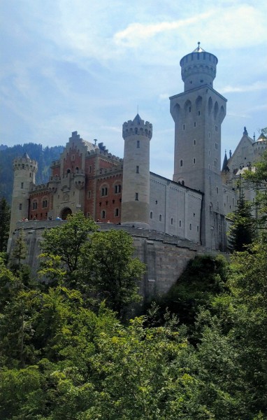 IMG_20220723_144724-5