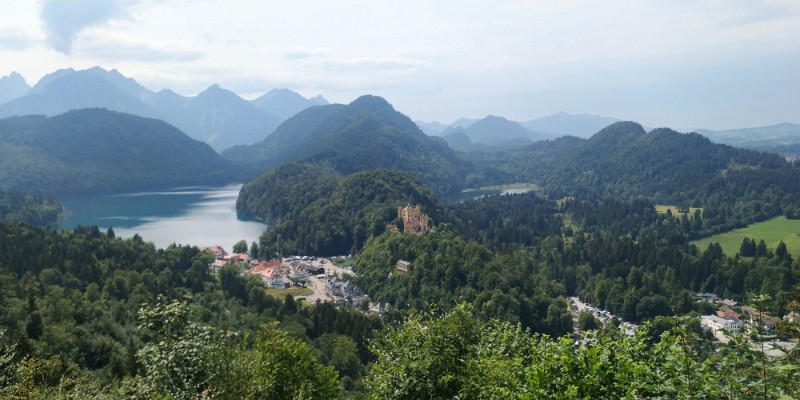 IMG_20220723_150058-2