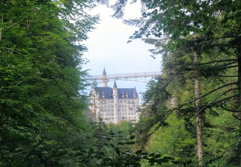 IMG_20220723_150725-3