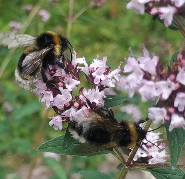 IMG_20220723_153218-2