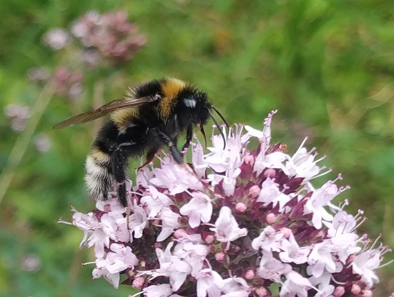 IMG_20220723_153227-2