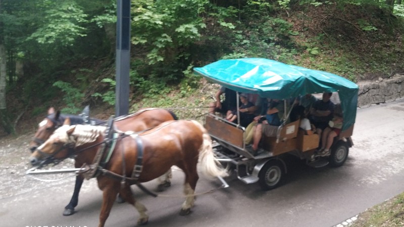 IMG_20220723_153837-3