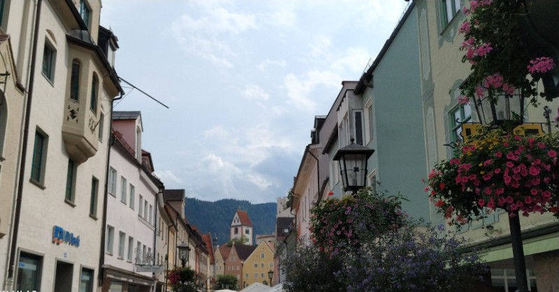 IMG_20220723_163819-2